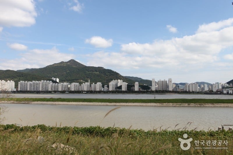 洛東江下游候鳥棲息地 (7/8)