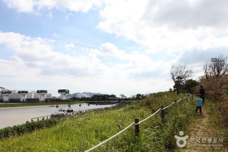 洛東江下游候鳥棲息地 (8/8)