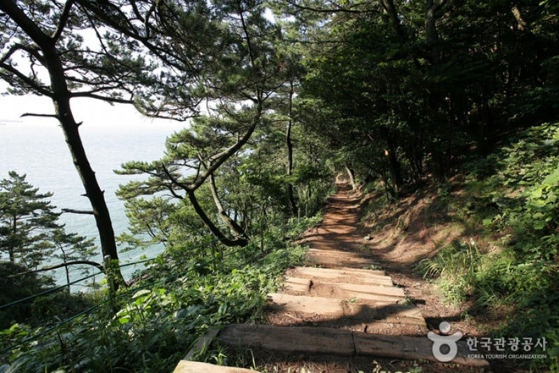 釜山岩南公園 