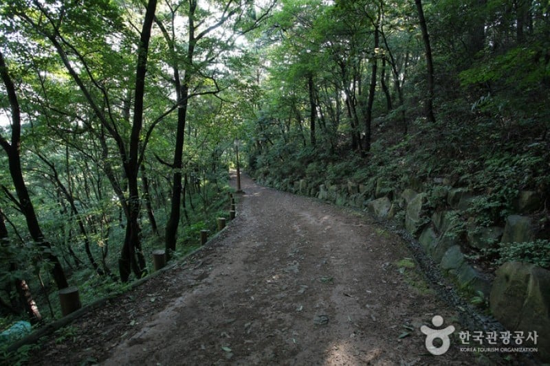 釜山岩南公園 