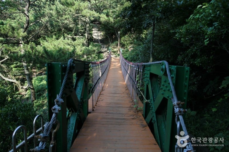 釜山岩南公園 