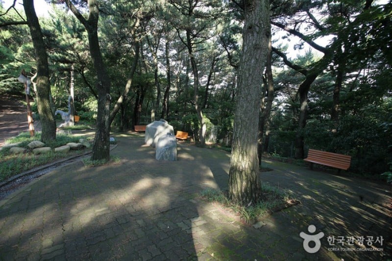 釜山岩南公園 