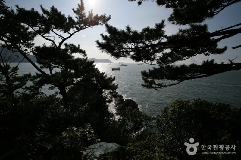釜山岩南公園 