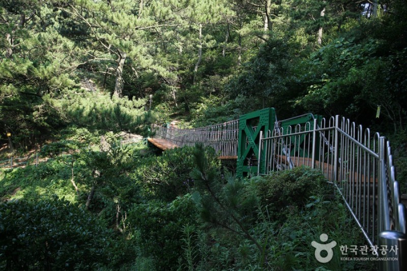 釜山岩南公園 