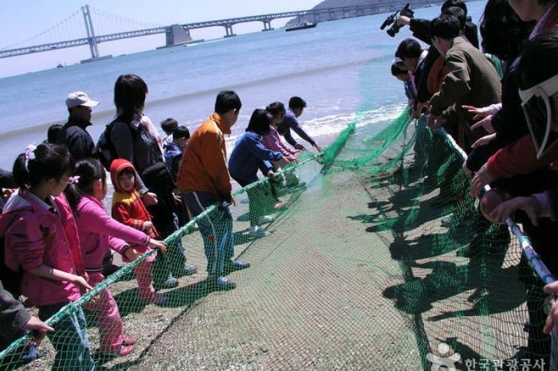 廣安裡漁坊節 (1/25)