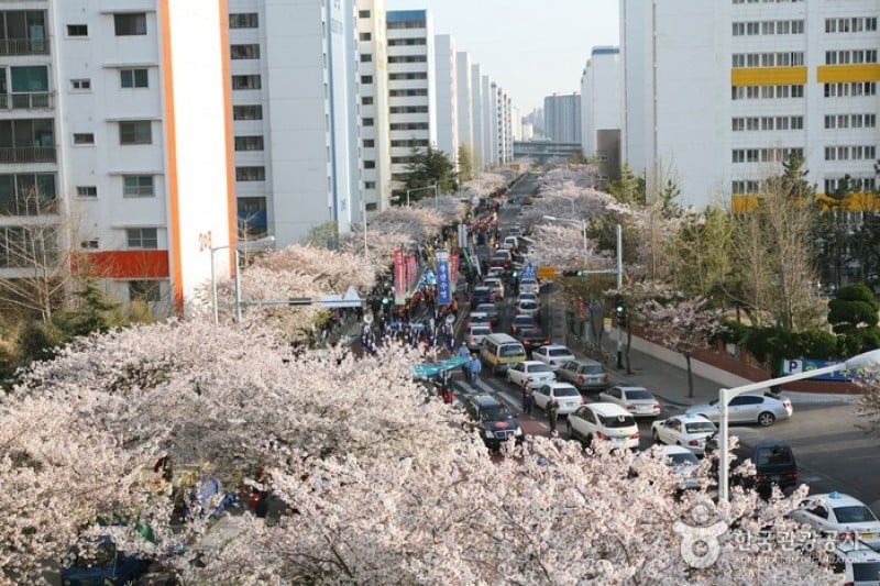 廣安裡漁坊節 (3/25)