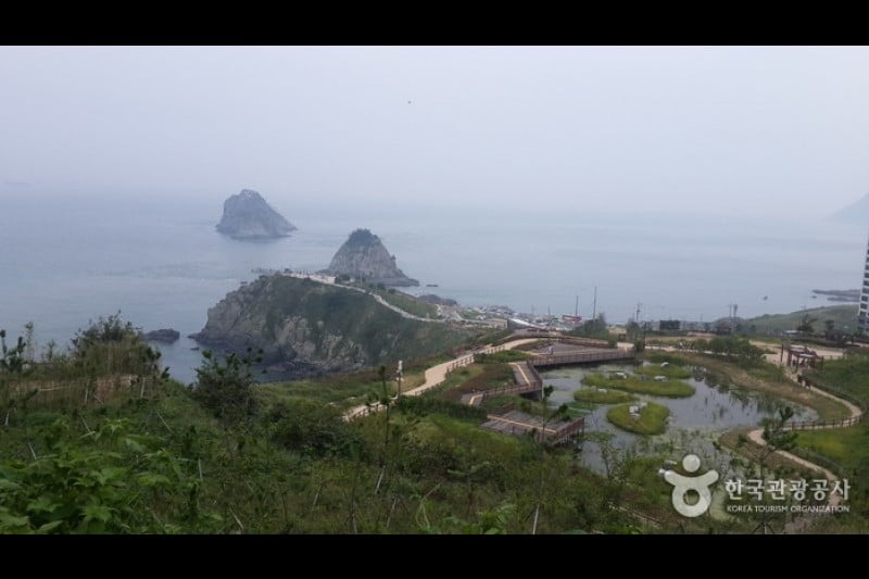 五六島Skywalk (1/10)