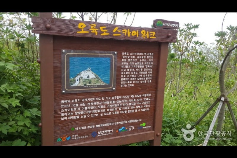 五六島Skywalk (2/10)