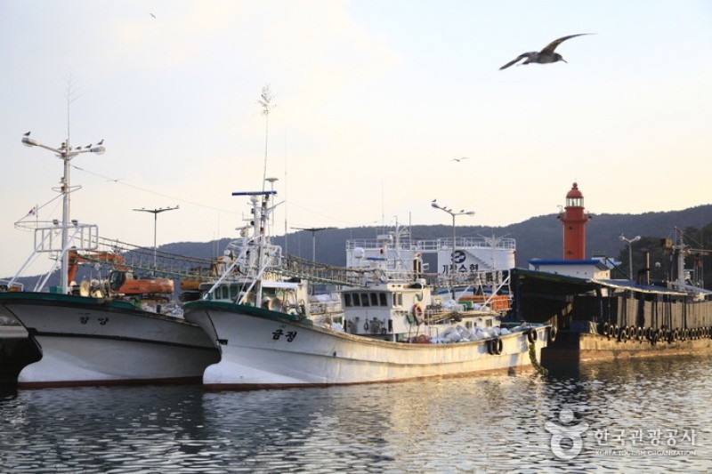 機張鯷魚節 (2/6)