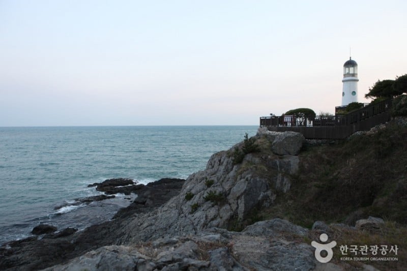 海雲臺冬柏島 (1/24)