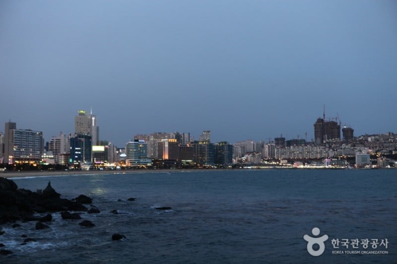 海雲臺冬柏島 (2/24)