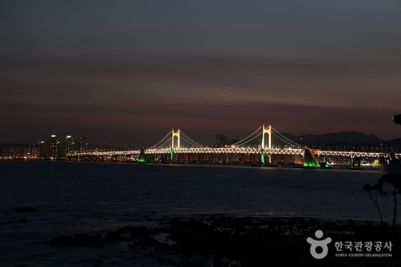 海雲臺冬柏島 (3/24)
