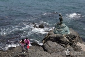 海雲台冬柏島