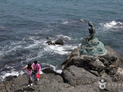 海雲台冬柏島