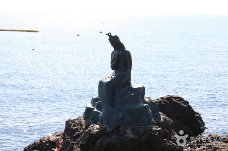 海雲臺冬柏島 (15/24)