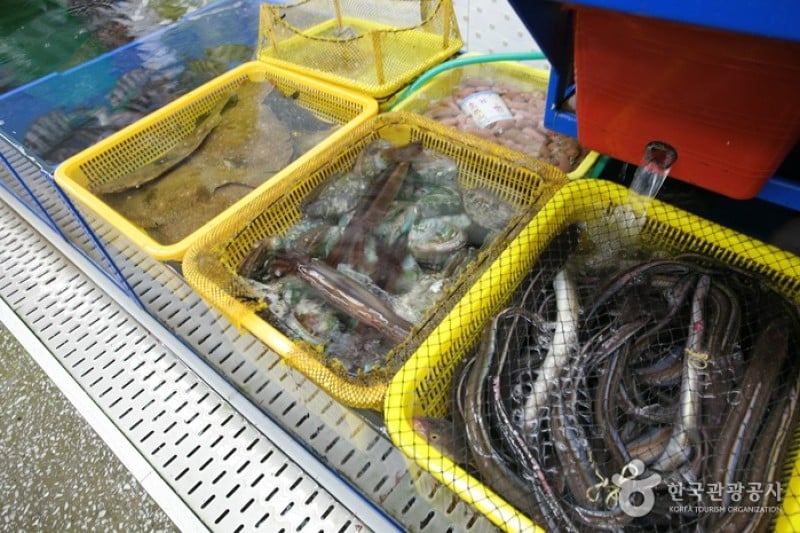 民樂漁民活魚直銷市場 (2/2)
