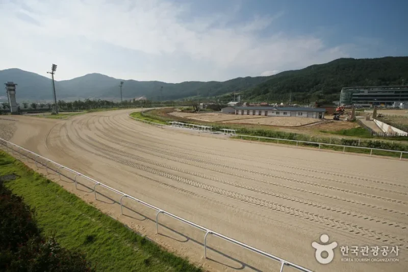 釜山慶南Let's run Park (2/5)
