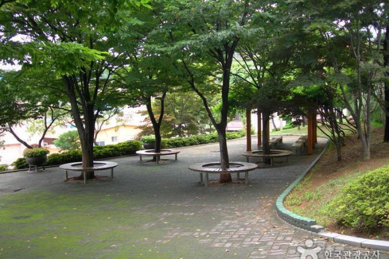福泉博物館 (5/32)