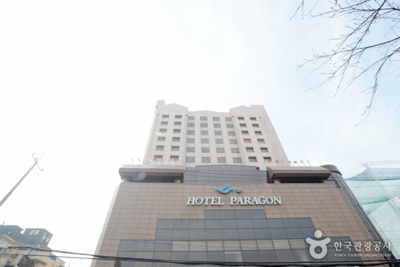 Paragon飯店 (2/29)