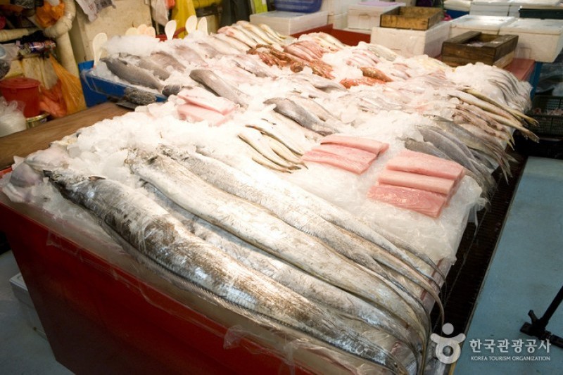 札嘎其市場活鮮魚部