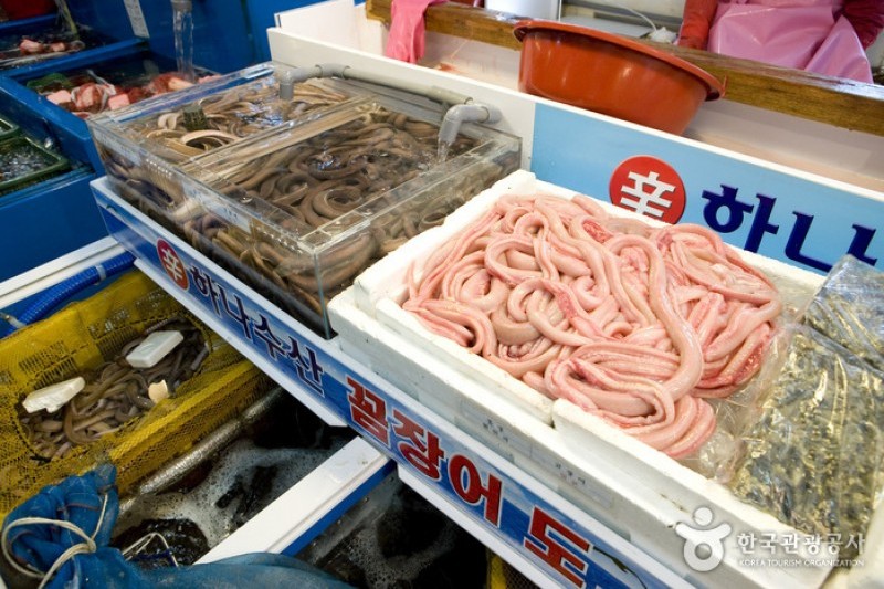 札嘎其市場活鰻魚部