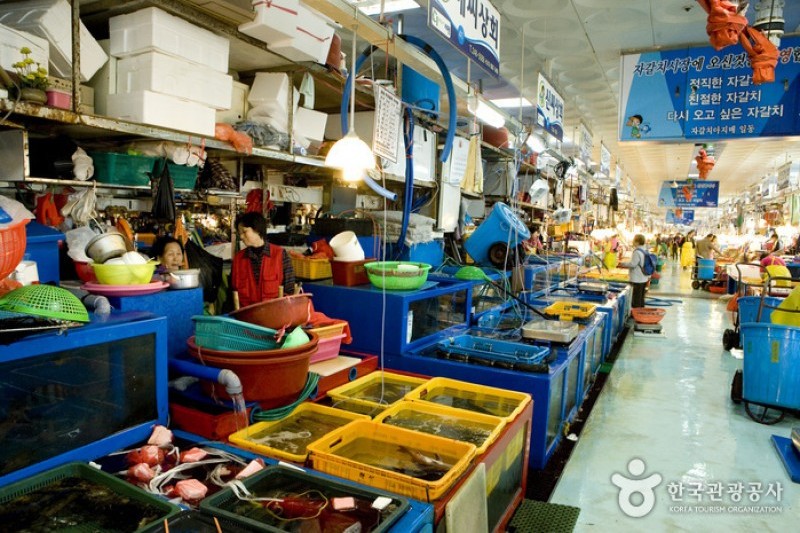 札嘎其市場活鰻魚部