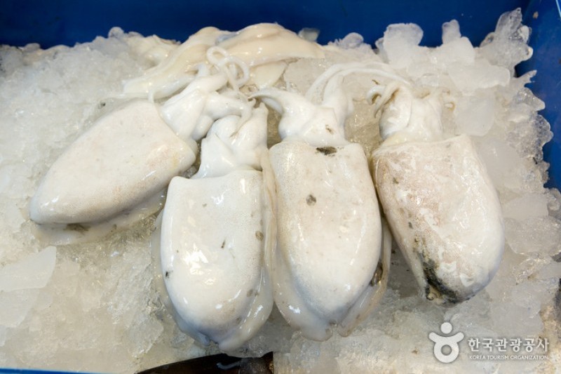 札嘎其市場活鰻魚部