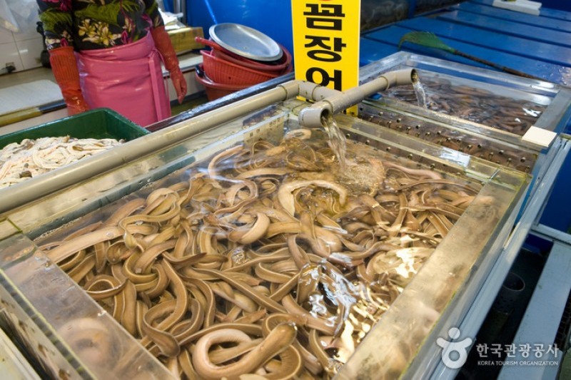 札嘎其市場活鰻魚部