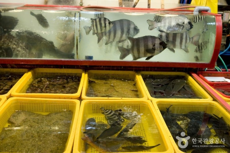 札嘎其市場活魚部