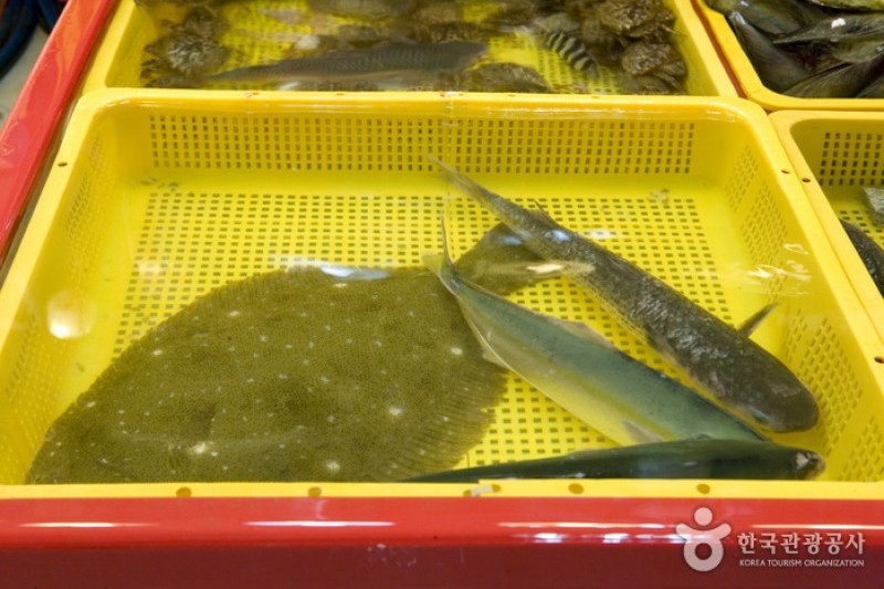 札嘎其市場活魚部