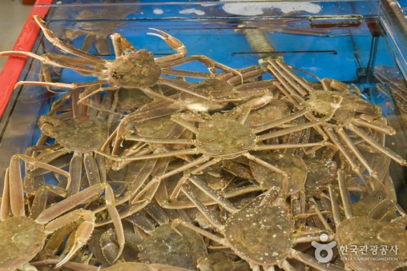 札嘎其市場活魚部