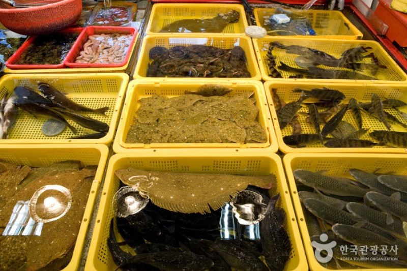 札嘎其市場活魚部