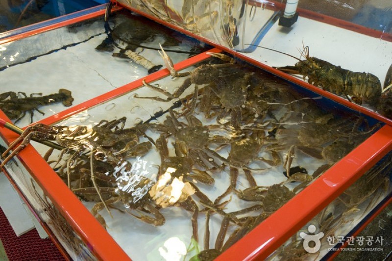 札嘎其市場活魚部
