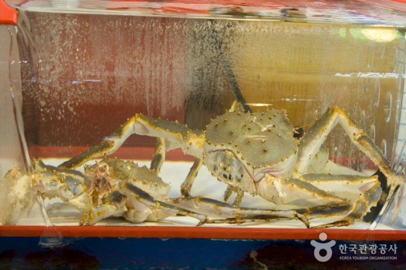 札嘎其市場活魚部