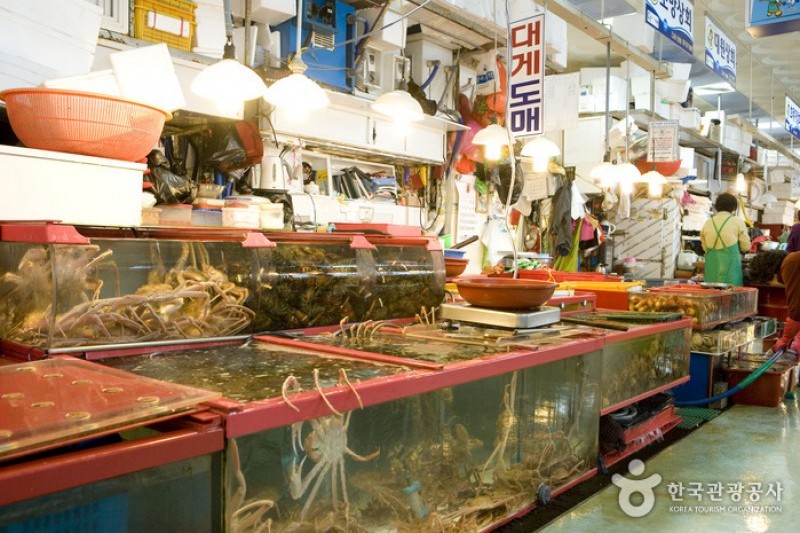 札嘎其市場活魚部