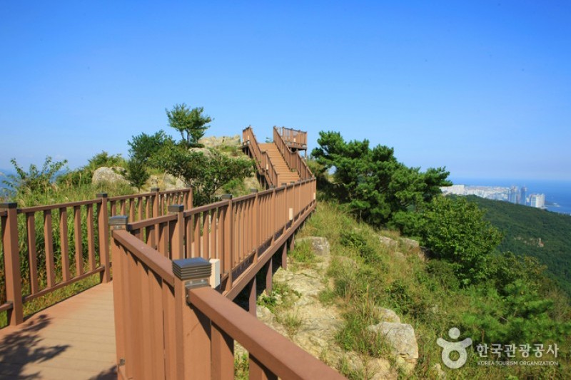 荒嶺山 (2/5)