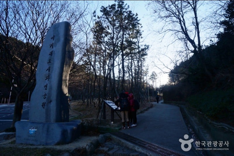 二妓臺都市自然公園 (1/37)