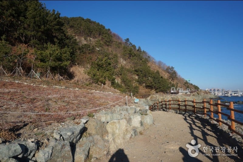 二妓臺都市自然公園 (5/37)