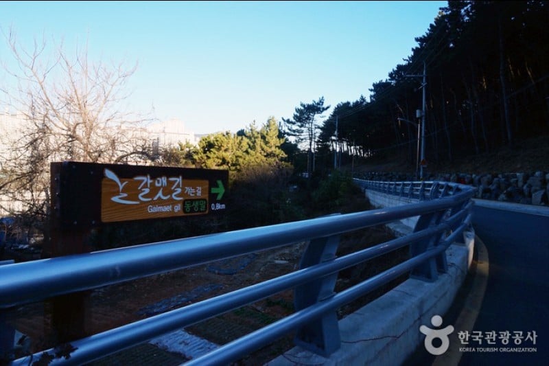 二妓臺都市自然公園 (10/37)