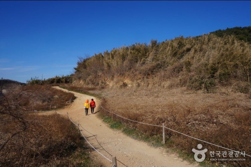二妓臺都市自然公園 (14/37)
