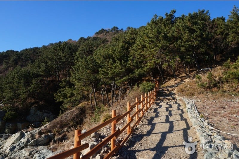 二妓臺都市自然公園 (27/37)