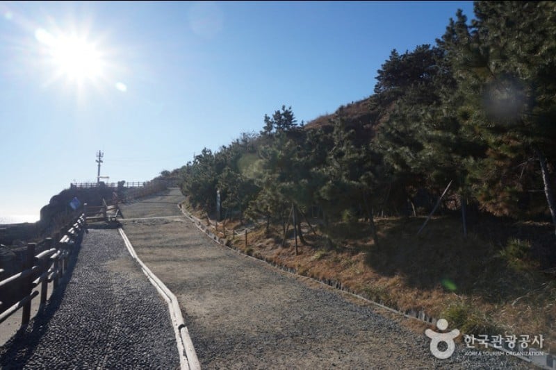 二妓臺都市自然公園 (32/37)