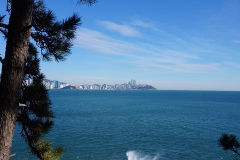二妓臺都市自然公園 (33/37)