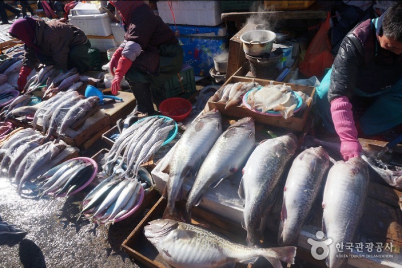 釜山札嘎其市場(부산 자갈치시장)