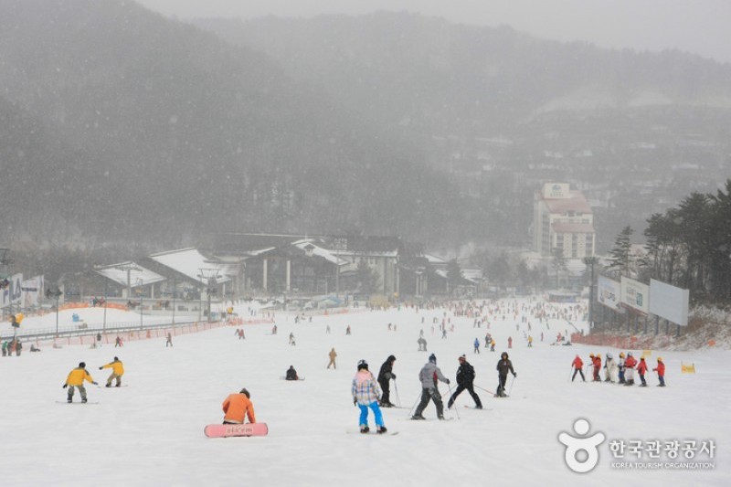 龍平滑雪渡假村