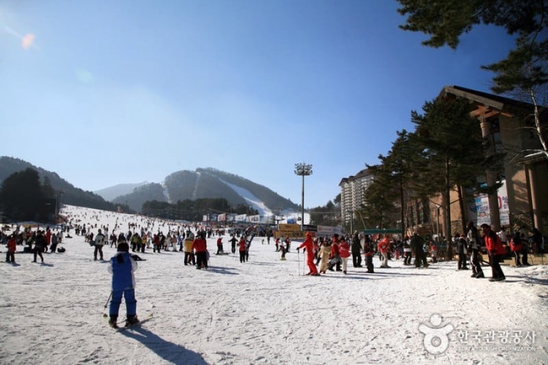 龍平滑雪渡假村