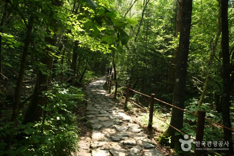 雪嶽山國立公園(內雪嶽) (5/6)