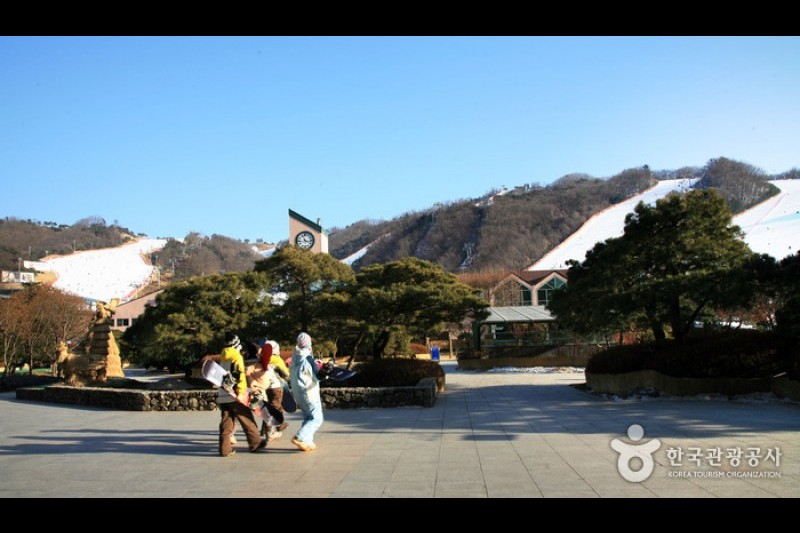 大明維瓦爾第公園滑雪世界 (8/20)
