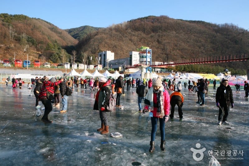 華川山川魚慶典 (10/12)