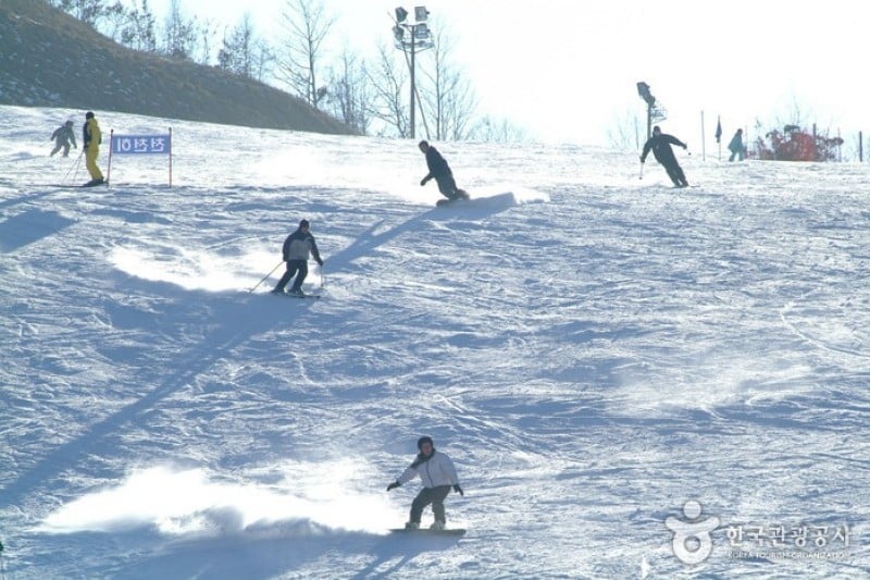 Elysian江村滑雪場 (3/18)
